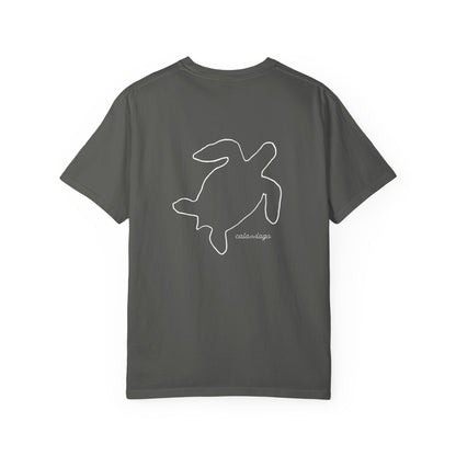 Tortuga Script T