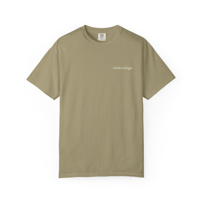 Tortuga Script T