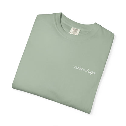 Tortuga Script T