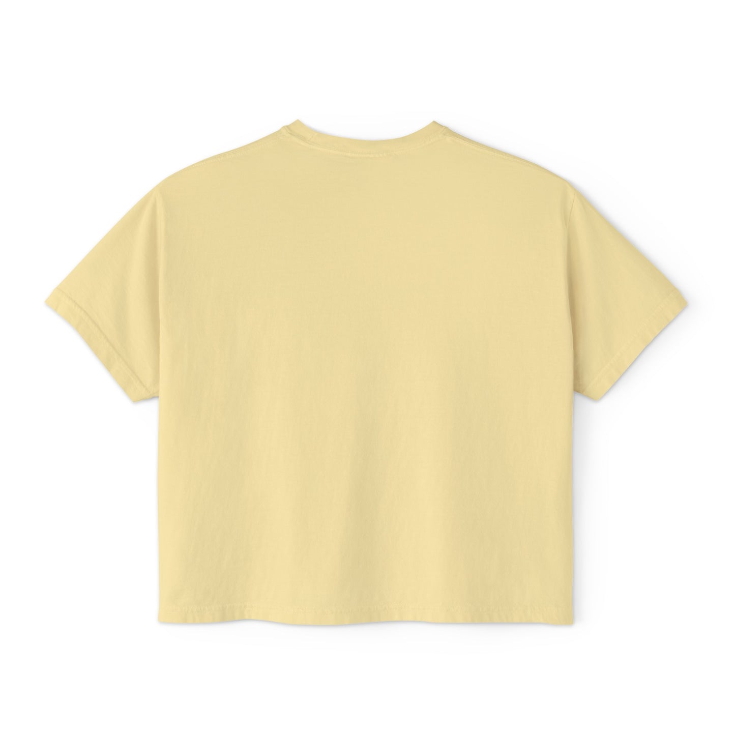 The Brand Women's Boxy T