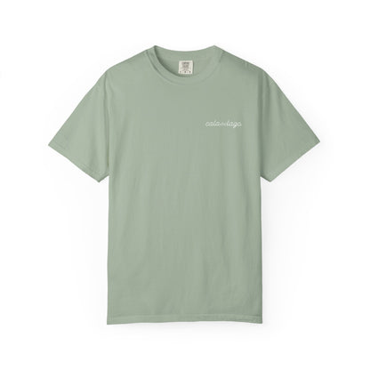 Tortuga Script T