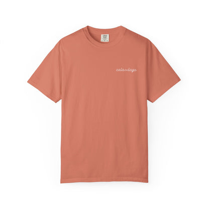 Tortuga Script T