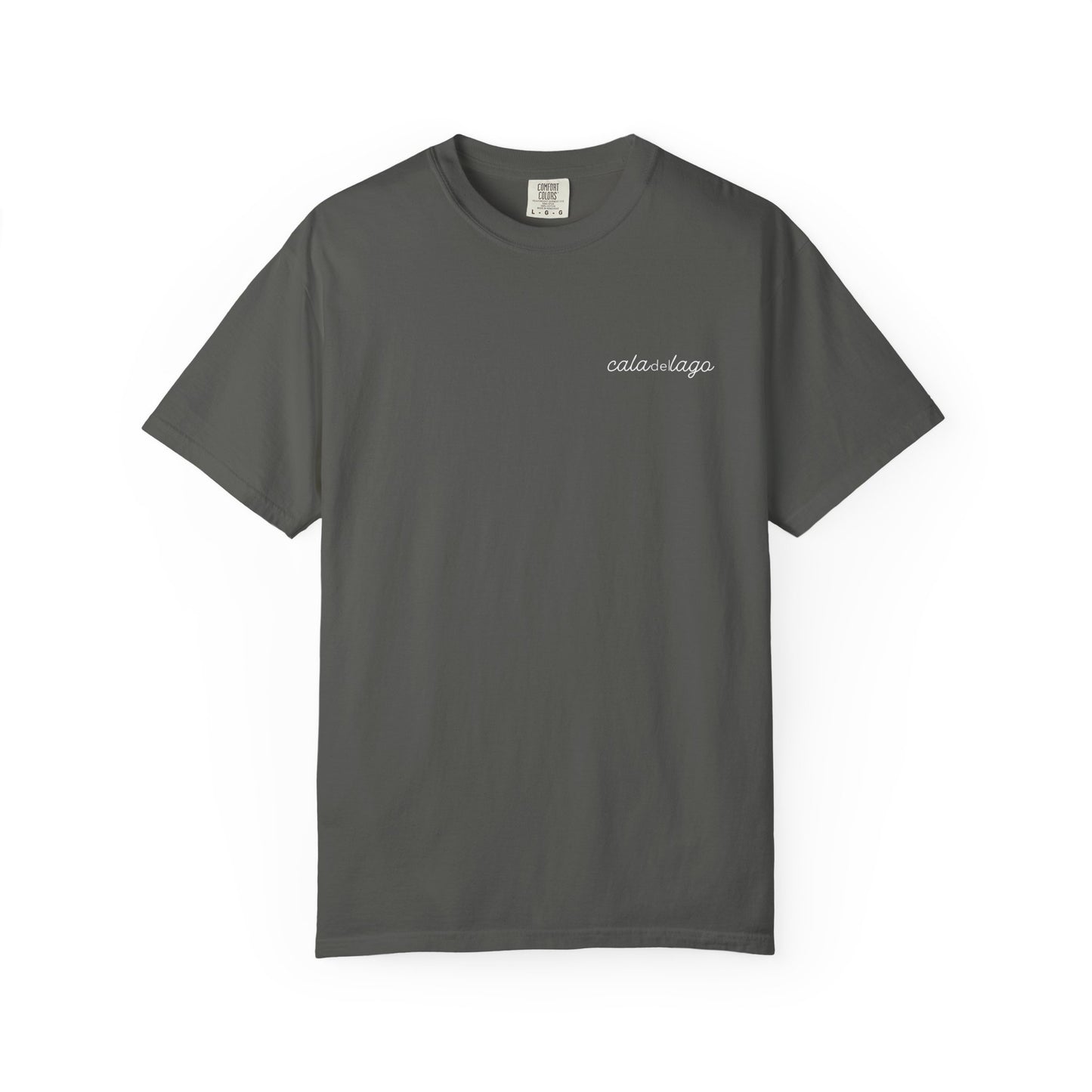 Tortuga Script T