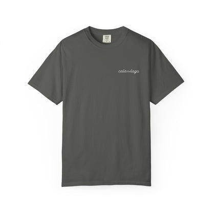 Tortuga Script T