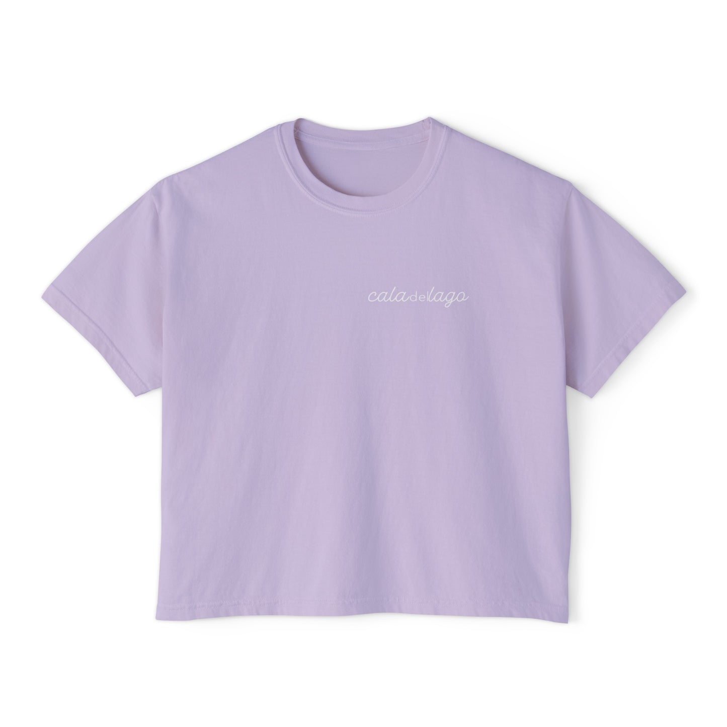 Dome Homes Women's Boxy T