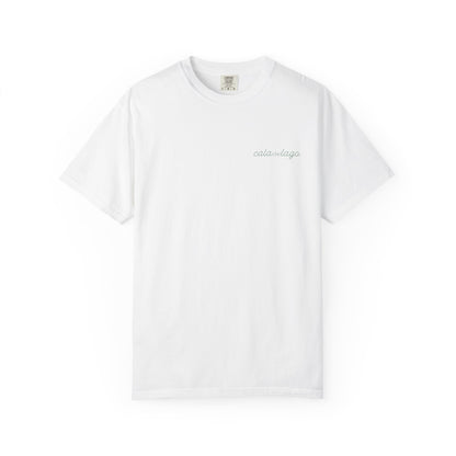 Tortuga Script T
