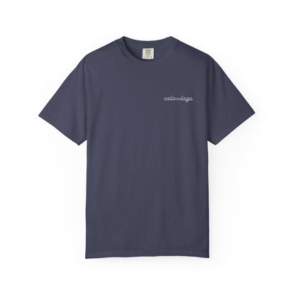 Tortuga Script T