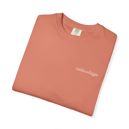 Tortuga Script T