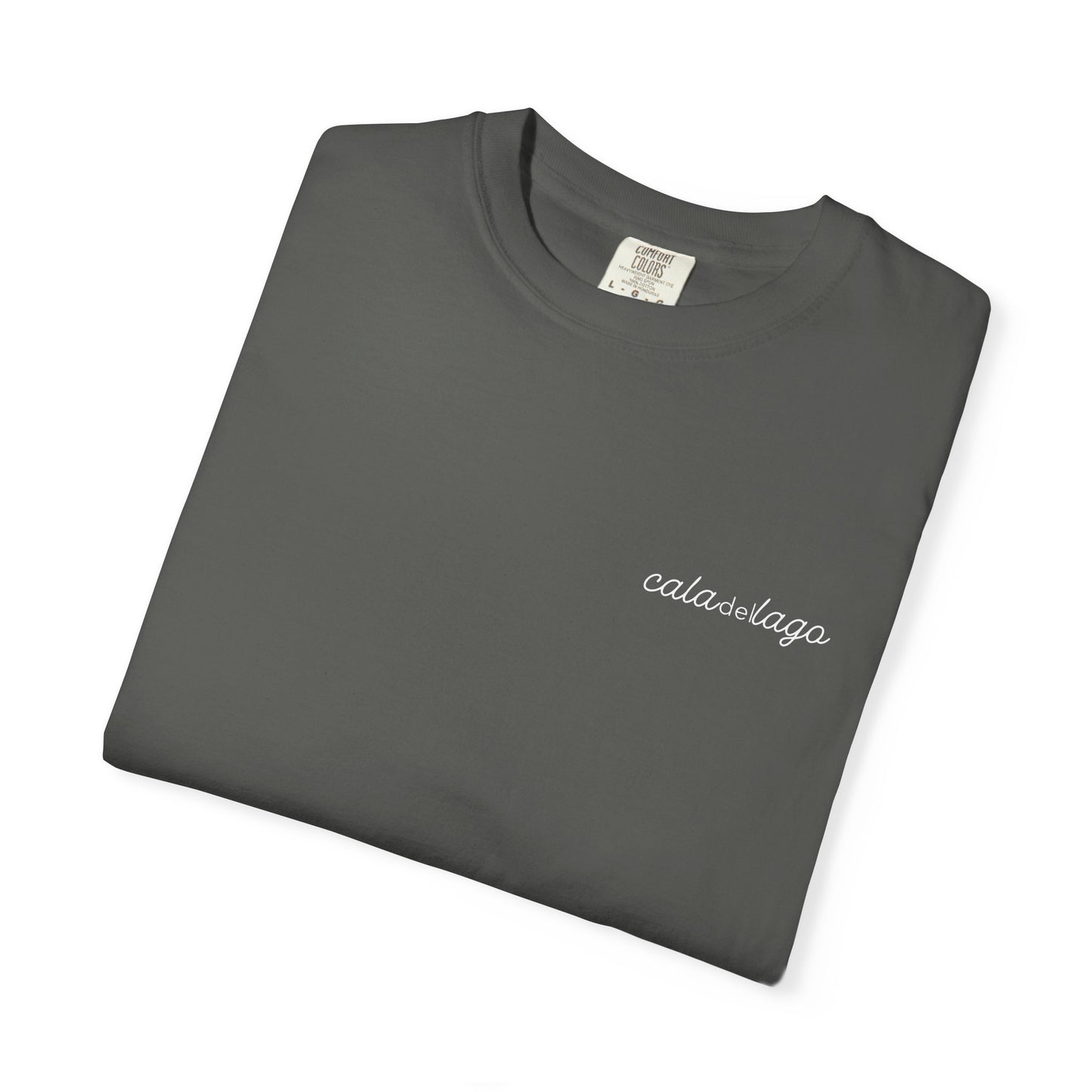 Tortuga Script T