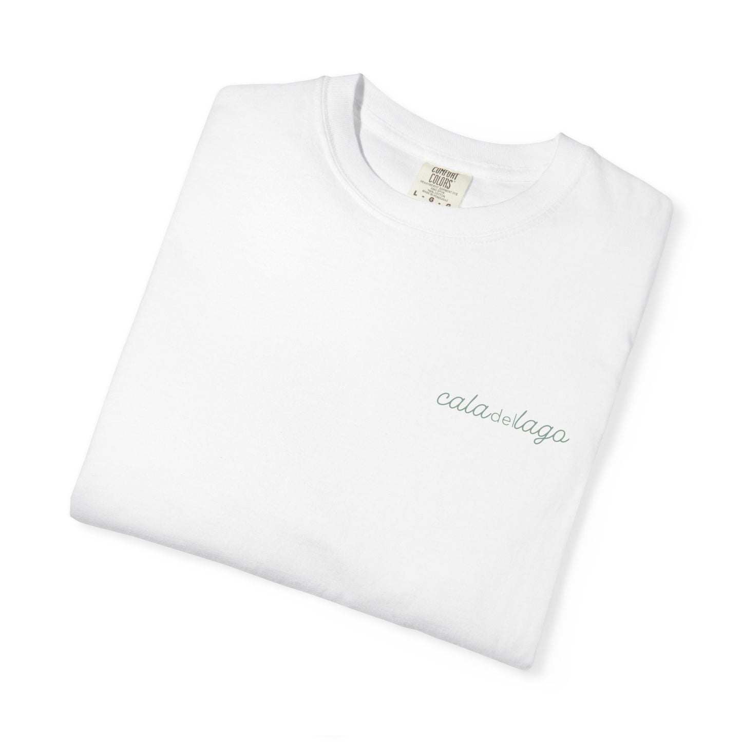 Tortuga Script T