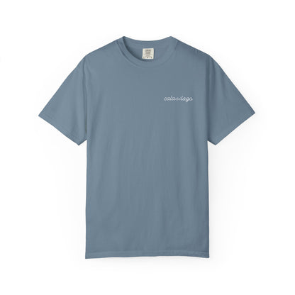 Tortuga Script T