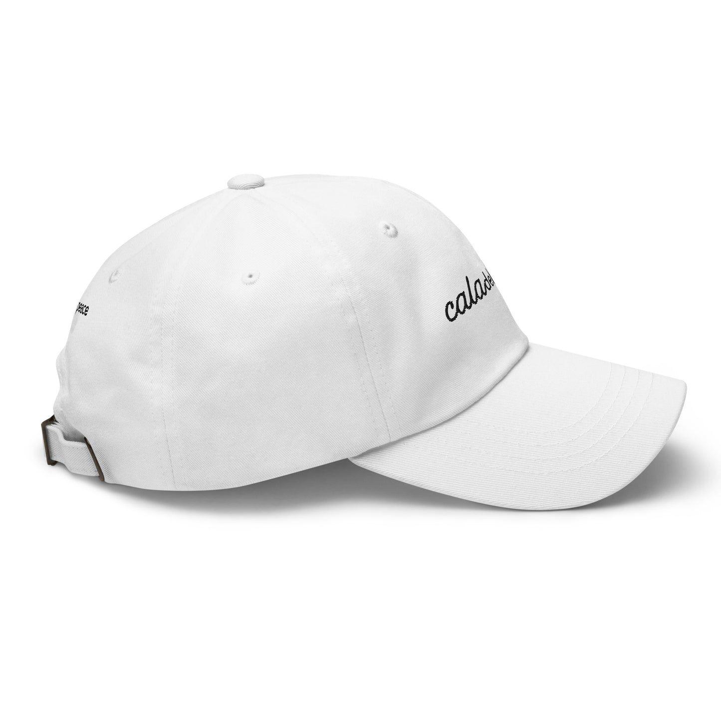 The Brand Dad Hat Light